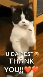 Post gif