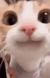 Post gif